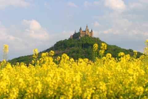 Fürstlich, schwäbische Tage - Hechingen und Burg Hohenzollern mit Vergangenheit und Gegenwart 