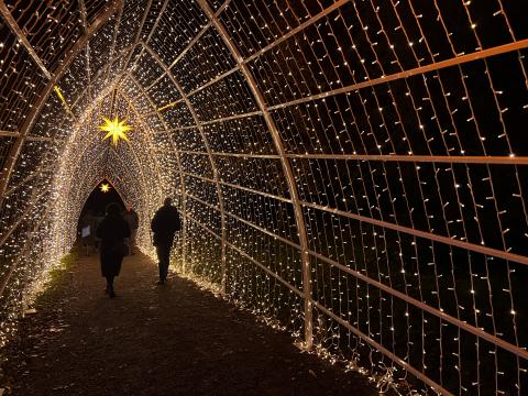 Konstanzer Winterzauber & Weihnachtsmarkt am Bodensee - (c) MTK/Theresa Anrdt