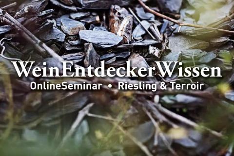 Neue WeinEntdeckerWissen-Seminare - Am 6. Februar um 19 Uhr setzt das Deutsche Weininstitut (DWI) seine beliebte Online-Seminarreihe for - (c) DWIt