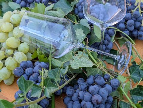 Die Weinregion Südtirol lebt von Kontrasten – genau daraus zieht es seine Kraft - (c) Carola Faber