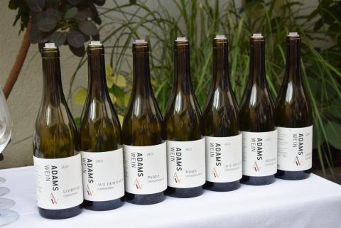 AdamsWein, Ingelheim - (c) DWI