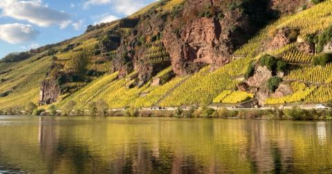 Eine der traditionsreichsten Weinregionen Deutschlands, die Mosel, lockt bereits in den nächsten Monaten mit zwei außergewöhnlichen Weinevents - (c) Vision Mosel