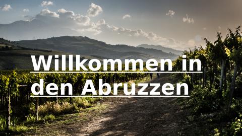 Unsere Leserreise in die Abruzzen, mit Besuchen von Weingütern, Märkten, einem Olivenölproduzenten und vielem mehr... - (c) Pierino Dinicola
